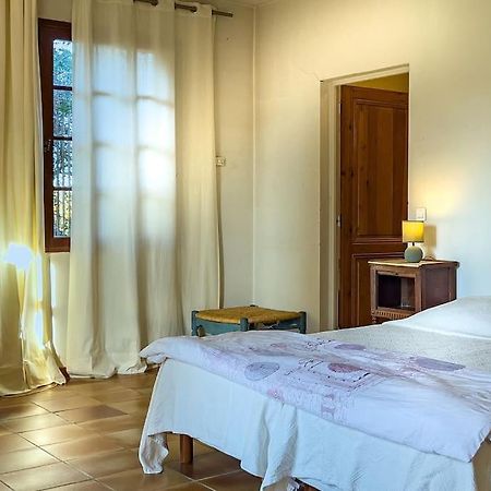 Mas De Charme En Pleine Camargue Villa Saint-Gilles  Dış mekan fotoğraf