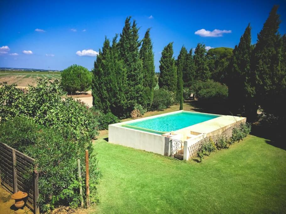 Mas De Charme En Pleine Camargue Villa Saint-Gilles  Dış mekan fotoğraf