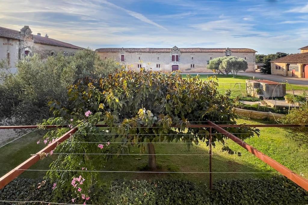 Mas De Charme En Pleine Camargue Villa Saint-Gilles  Dış mekan fotoğraf